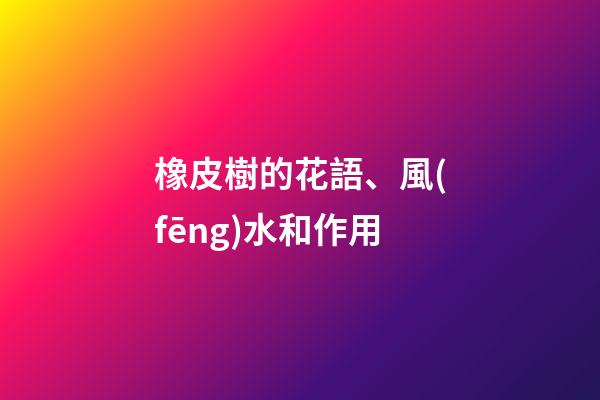 橡皮樹的花語、風(fēng)水和作用