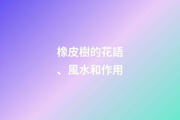 橡皮樹的花語、風水和作用