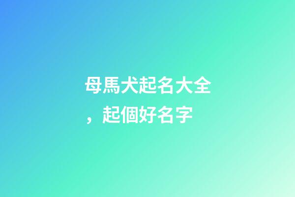 母馬犬起名大全，起個好名字-第1張-觀點-玄機派