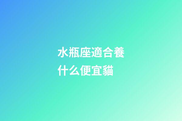 水瓶座適合養什么便宜貓-第1張-星座運勢-玄機派
