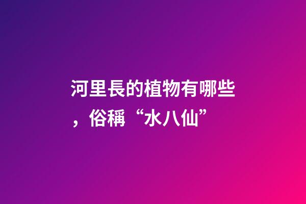 河里長的植物有哪些，俗稱“水八仙”