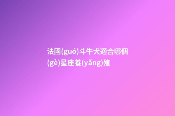 法國(guó)斗牛犬適合哪個(gè)星座養(yǎng)殖-第1張-星座運(yùn)勢(shì)-玄機(jī)派