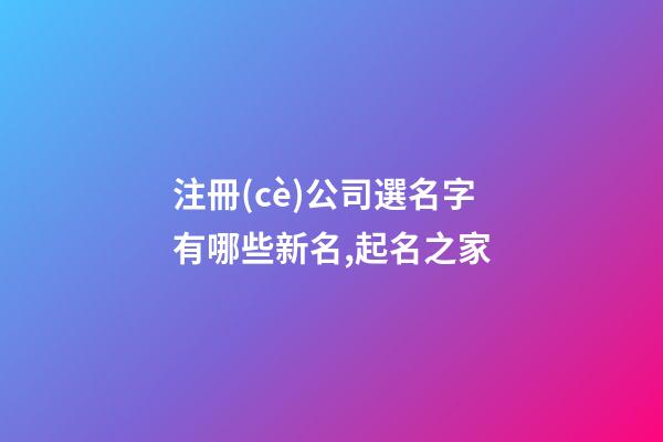注冊(cè)公司選名字有哪些新名,起名之家