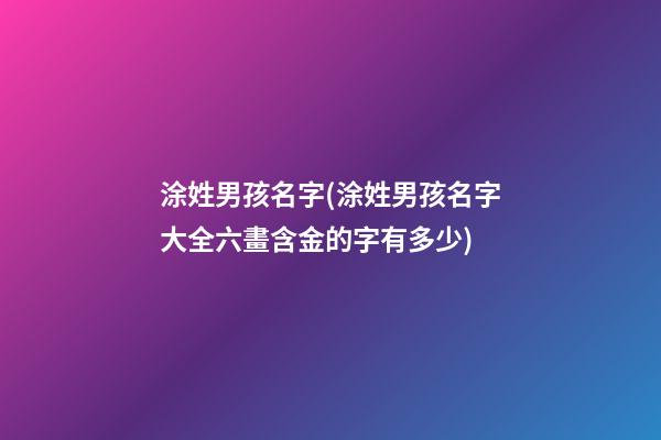涂姓男孩名字(涂姓男孩名字大全六畫含金的字有多少)