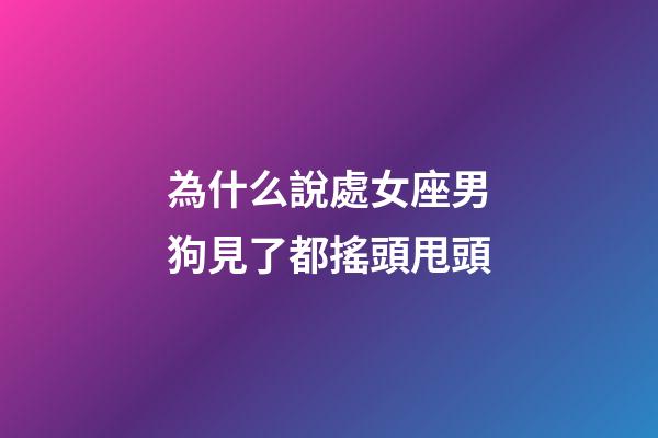 為什么說處女座男狗見了都搖頭甩頭-第1張-星座運勢-玄機派