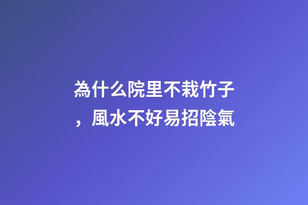 為什么院里不栽竹子，風水不好易招陰氣