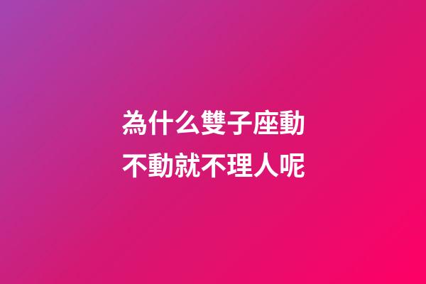 為什么雙子座動不動就不理人呢-第1張-星座運勢-玄機派