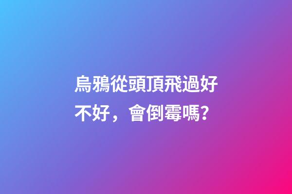 烏鴉從頭頂飛過好不好，會倒霉嗎？
