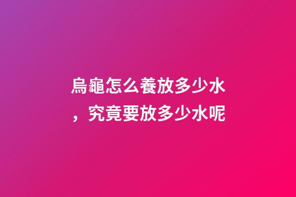 烏龜怎么養放多少水，究竟要放多少水呢-第1張-觀點-玄機派