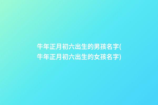 牛年正月初六出生的男孩名字(牛年正月初六出生的女孩名字)