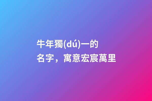 牛年獨(dú)一的名字，寓意宏宸萬里