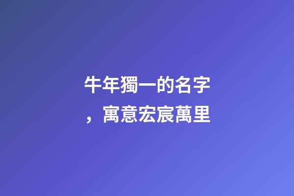 牛年獨一的名字，寓意宏宸萬里
