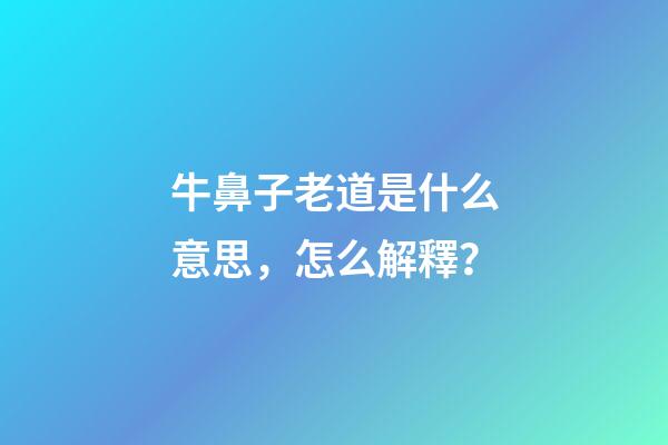 牛鼻子老道是什么意思，怎么解釋？