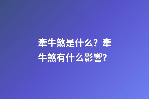 牽牛煞是什么？牽牛煞有什么影響？