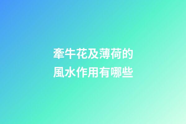 牽牛花及薄荷的風水作用有哪些?