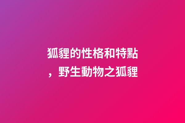 狐貍的性格和特點，野生動物之狐貍-第1張-觀點-玄機派