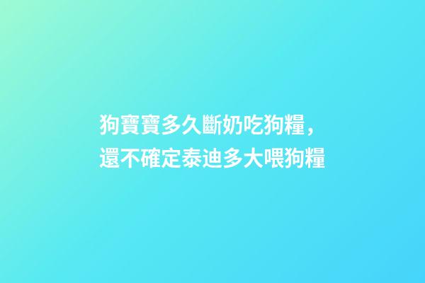 狗寶寶多久斷奶吃狗糧，還不確定泰迪多大喂狗糧-第1張-觀點-玄機派