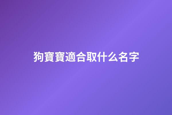 狗寶寶適合取什么名字(狗寶寶取名大全2023款)-第1張-寶寶起名-玄機派