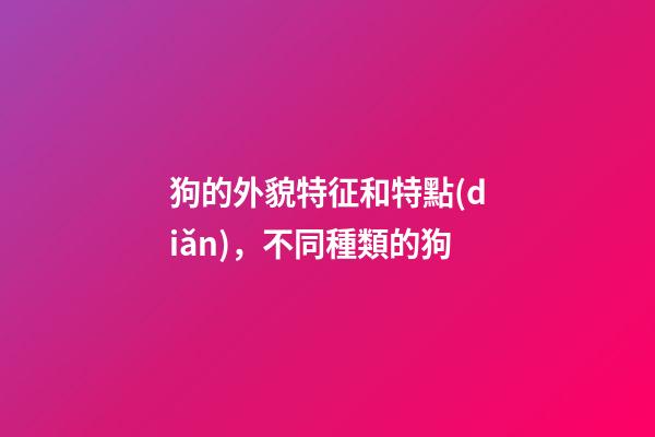 狗的外貌特征和特點(diǎn)，不同種類的狗-第1張-觀點(diǎn)-玄機(jī)派