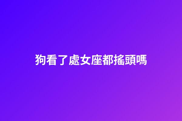 狗看了處女座都搖頭嗎