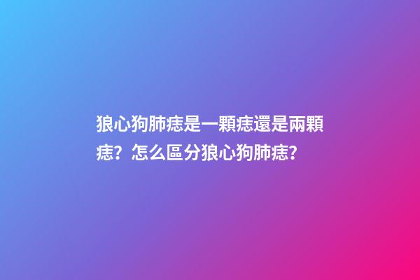 狼心狗肺痣是一顆痣還是兩顆痣？怎么區分狼心狗肺痣？