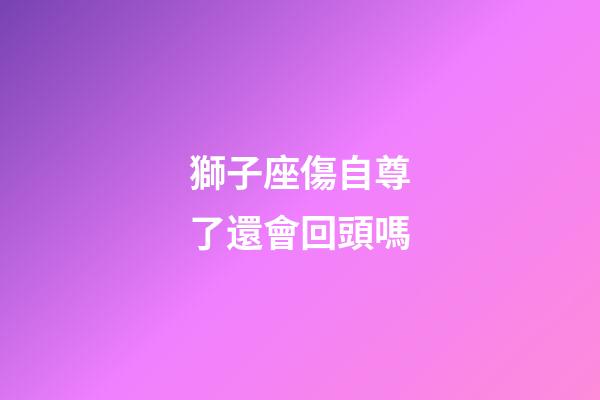 獅子座傷自尊了還會回頭嗎-第1張-星座運(yùn)勢-玄機(jī)派