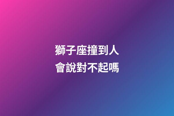 獅子座撞到人會說對不起嗎-第1張-星座運勢-玄機派