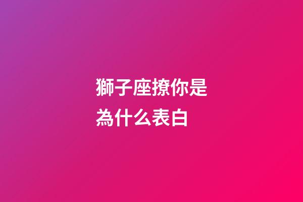 獅子座撩你是為什么表白-第1張-星座運勢-玄機派