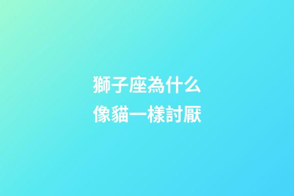獅子座為什么像貓一樣討厭-第1張-星座運勢-玄機派