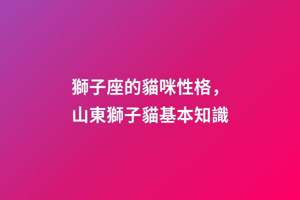 獅子座的貓咪性格，山東獅子貓基本知識-第1張-觀點-玄機派