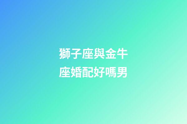 獅子座與金牛座婚配好嗎男-第1張-星座運(yùn)勢(shì)-玄機(jī)派