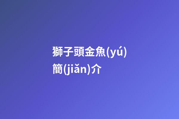 獅子頭金魚(yú)簡(jiǎn)介