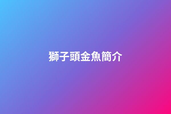 獅子頭金魚簡介
