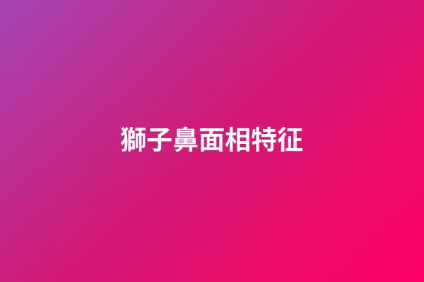 獅子鼻面相特征