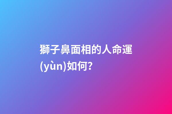 獅子鼻面相的人命運(yùn)如何？