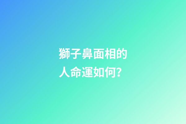 獅子鼻面相的人命運如何？