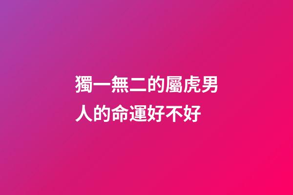 獨一無二的屬虎男人的命運好不好