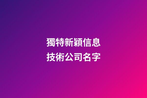 獨特新穎信息技術公司名字