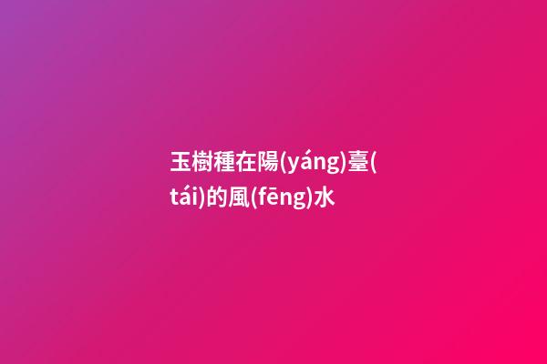玉樹種在陽(yáng)臺(tái)的風(fēng)水