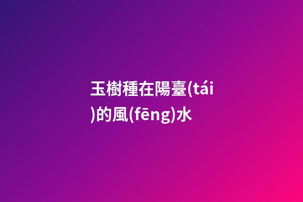 玉樹種在陽臺(tái)的風(fēng)水
