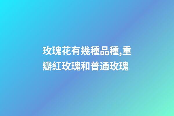 玫瑰花有幾種品種,重瓣紅玫瑰和普通玫瑰-第1張-觀點-玄機派