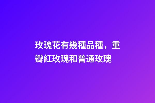 玫瑰花有幾種品種，重瓣紅玫瑰和普通玫瑰-第1張-觀點-玄機派