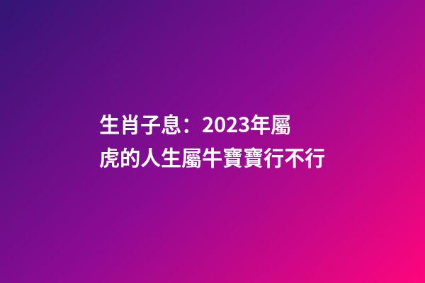 生肖子息：2023年屬虎的人生屬牛寶寶行不行
