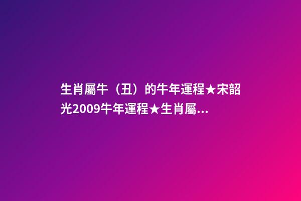 生肖屬牛（丑）的牛年運程★宋韶光2009牛年運程★生肖屬牛牛年每月吉兇