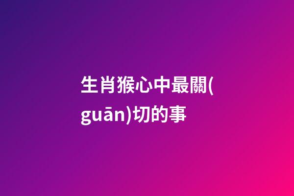 生肖猴心中最關(guān)切的事