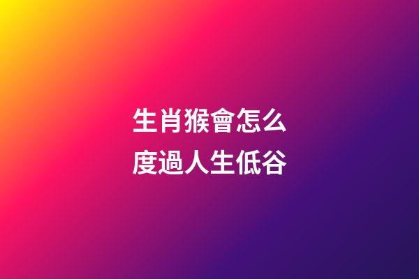 生肖猴會怎么度過人生低谷