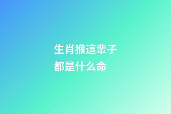 生肖猴這輩子都是什么命