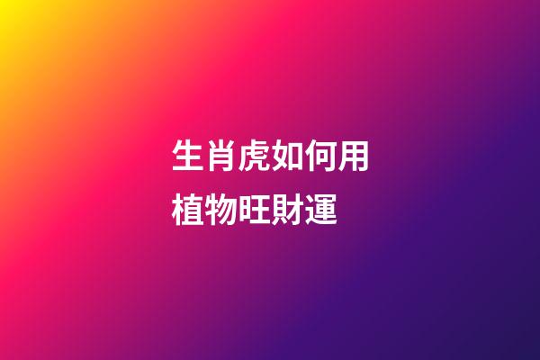 生肖虎如何用植物旺財運