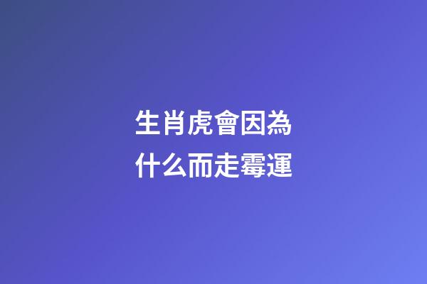 生肖虎會因為什么而走霉運