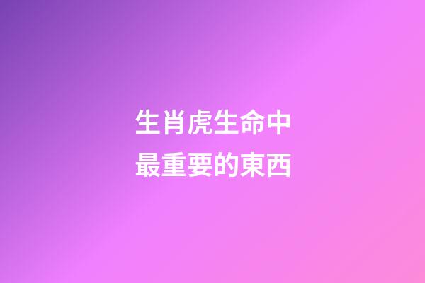 生肖虎生命中最重要的東西